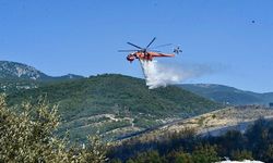 İzmir'de otluk alanda çıkan yangın, ormana sıçradı (2)
