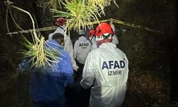 Kayıp olarak aranırken ormanda ölü bulundu