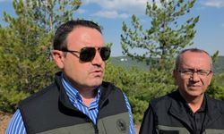 Kütahya'da orman yangını