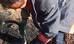 Malatya'da evde çıkan yangın ormana sıçradı; 2 ev zarar gördü