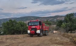 Malatya'da orman yangını (2)