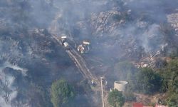 Muğla'da orman yangını (2)