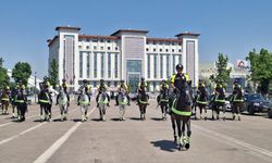 NATO Zirvesi öncesi atlı polislerden devriye görevi