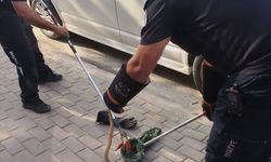 Park halindeki minibüsün motor kısmına giren yılanı itfaiyeciler çıkarıldı