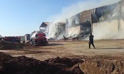 Şanlıurfa'da hayvan çiftliğinde yangın