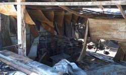 Sucuk fabrikasındaki yangının kilolarca et zarar gördü
