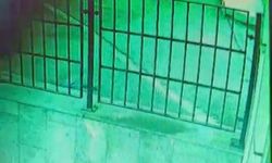 Tartıştığı kişiyi silahla kovalayıp bacağından yaraladı