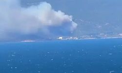 Yalova'da orman yangını (2)