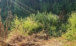 Yoldan çıkıp 50 metre yuvarlanan motosikletin sürücüsü yaralandı