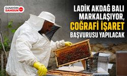 Ladik Akdağ Balı Markalaşıyor, Coğrafi İşaret Başvurusu Yapılacak