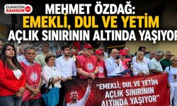 Mehmet Özdağ: Emekli, Dul ve Yetim Açlık Sınırının Altında Yaşıyor