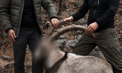 6 yıl önce 5 yaban keçisini yasa dışı avlayan 2 kişiye para cezası