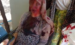 85 yaşındaki annesini sopa ile dövdü; o anlar kamerada