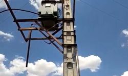 Akıma kapılan kuş anız yangınına neden oldu; 1500 dekar alan zarar gördü