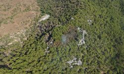 Antalya'da orman yangını (2)