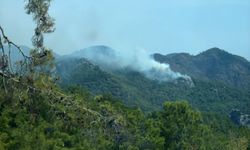 Antalya'da orman yangını