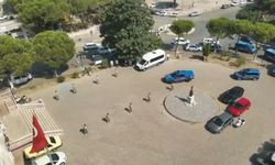 Aydın merkezli 8 ilde dolandırıcılık operasyonu: 255 milyon TL'lik para hacmi, 7 tutuklama