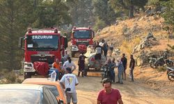 Aydın'da orman yangını / Ek fotoğraflar