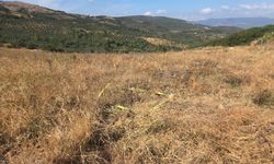 Boş arazide patlamamış tüfek bombaları bulundu