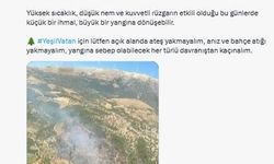 Bursa ve İzmir'de çıkan orman yangınları kontrol altına alındı