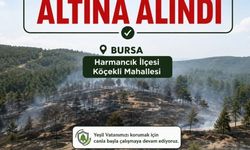 Bursa'da orman yangını (3)