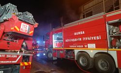 Bursa'da yumurta işletmesinde yangın (2)