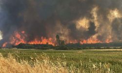 Çanakkale'de 3 gün süreyle biçerdöver ve balya makinesi kullanımı yasaklandı