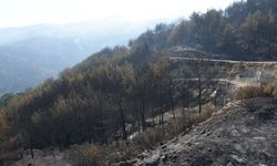 Çine'deki orman yangınında koca tutuklandı, eşi serbest