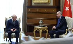 Cumhurbaşkanı Erdoğan, Bahçeli'yi kabul etti/Fotoğraflar