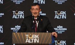 Cumhurbaşkanı Yardımcısı Yılmaz: Yol haritamızı oluşturduk