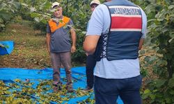Fındık bahçelerinde havadan ve karadan hırsızlık denetimi