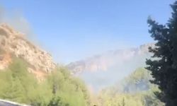Hatay'da orman yangını