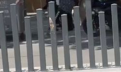 Kavga eden kadınları trafik polisleri ayırdı