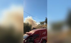 Malatya'da orman yangını