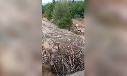 Malatya'da sağanak etkili oldu; ev, depo ve ahırları su bastı