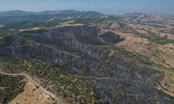 Manisa'daki orman yangınında zarar gören alanlar dronla görüntülendi