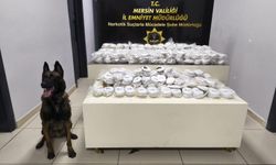 Mersin'de 3,5 kilo kokain, 122 kilo esrar ele geçirildi; 3 gözaltı