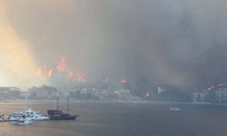 Muğla'da büyük yangınların 5'inci yılında yanan alanlar yeşil örtüye kavuştu