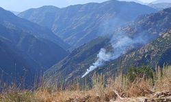 Munzur Vadisi Milli Parkı'nda orman yangını