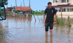 Samsun Çarşamba'da sağanak sırasında ev ve ahırları su bastı