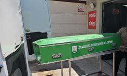 Şanlıurfa'da balkondan düşen 16 yaşındaki Deniz öldü