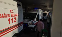 Şanlıurfa'da iki kardeş arasında kavga; 9 yaralı
