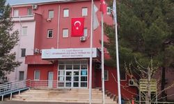 Silahlı arazi kavgasında araçtaki 2 aylık gelin öldü; 7 gözaltı