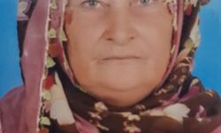 Sumak toplamak için gittiği arazide cansız bedeni bulundu