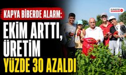 Kapya Biberde Alarm: Ekim Arttı, Üretim Yüzde 30 Azaldı