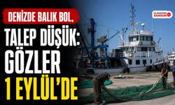 Denizde Balık Bol, Talep Düşük: Gözler 1 Eylül’de