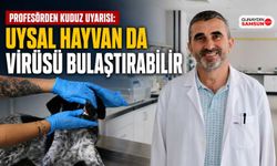 Profesörden Kuduz Uyarısı: Uysal Hayvan da Virüsü Bulaştırabilir