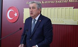 Milletvekili Çan'dan Fındıkta Taban Fiyat Çağrısı