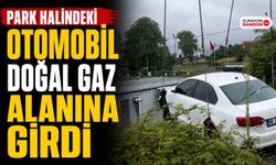 Park Halindeki Otomobil Doğal Gaz Alanına Girdi
