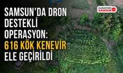 Samsun’da 616 Kök Kenevir Ele Geçirildi: 1 Tutuklama